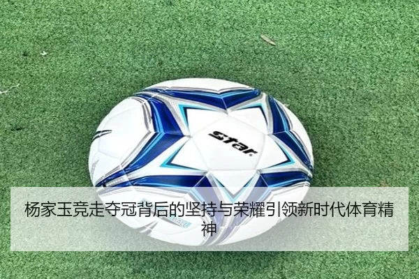 杨家玉竞走夺冠背后的坚持与荣耀引领新时代体育精神